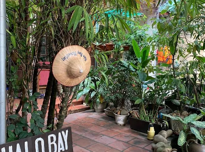 Halo Bay Homestay *