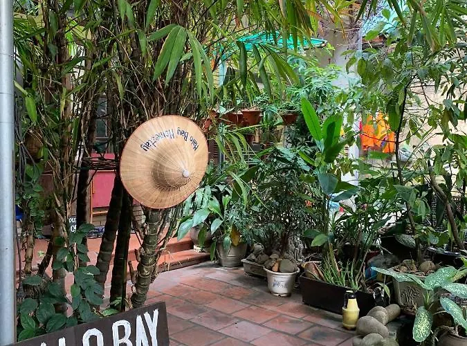 Halo Bay Homestay