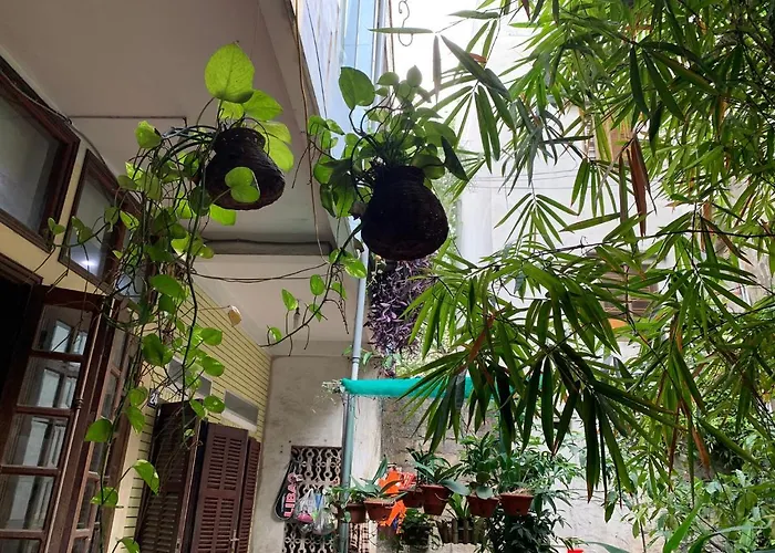 Halo Bay Homestay Ha Long